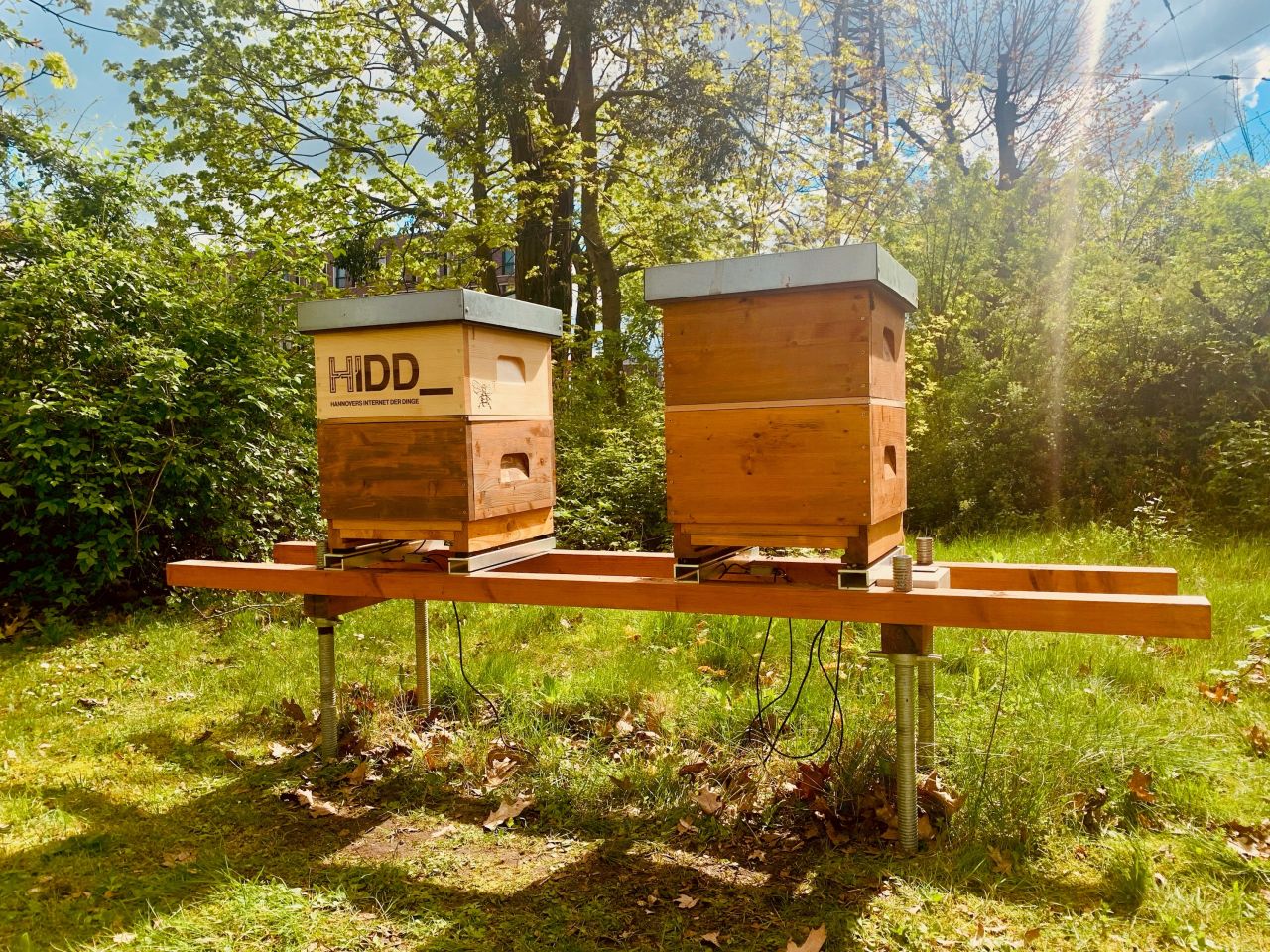 HIDD Bienenstöcke