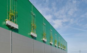 Grüne Industriehalle mit grauen Wandpaneelen und wandmontierten Pflanzenkästen mit Kletterpflanzen, davor Betonparkplatz.