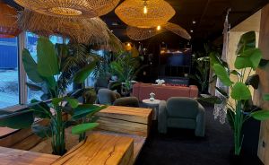 Lounge mit Rattanlampen, grünen Sesseln, Holztischen, Topfpflanzen und einem Flachbildschirm an dunkler Wand.