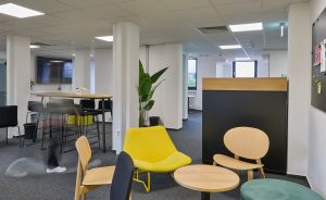 Modernes Büro mit bunten Lounge-Sesseln, Holztischen, Stehtischen, Trennwand und einer Topfpflanze auf grauem Teppich.