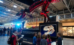 Kinder betrachten ein beleuchtetes T-Rex-Skelett bei der Sonderausstellung „Schicksal der Dinosaurier" in einer Messehalle.