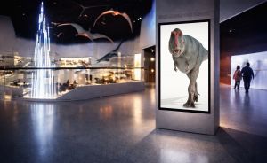 Museumsfoyer mit großem Display eines T-Rex, Glasvitrinen, Lichtinstallation und Besuchern im Hintergrund.