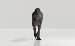 3D-Render eines dunkelgrauen Tyrannosaurus Rex mit rotem Kamm, der frontal auf den Betrachter zuläuft.