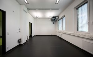 Leerer weißer Raum mit schwarzem Boden, Neonbeleuchtung, zwei Fenstern mit Jalousien und einer grünen Tür.