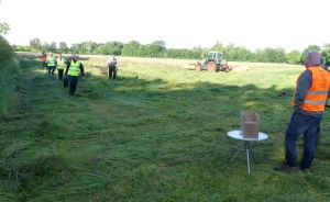 Mehrere Personen in Warnwesten laufen über eine gemähte Wiese, im Hintergrund ein grüner Traktor, Bäume.
