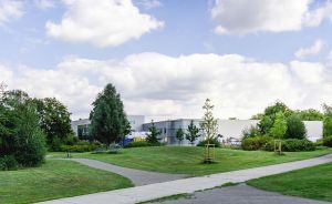 Gepflegter Park mit geschwungenen Wegen, grünem Rasen und Bäumen; im Hintergrund ein modernes Industriegebäude unter bewölktem Himmel.