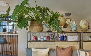 Café-Innenraum mit Holztischen, Sofabank mit Kissen, Regal mit Flaschen, Globen und großer Monstera-Pflanze.