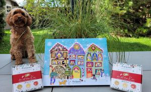 Goldendoodle sitzt neben einem Hunde-Adventskalender und zwei Pralipaws-Schachteln auf einer Terrasse.