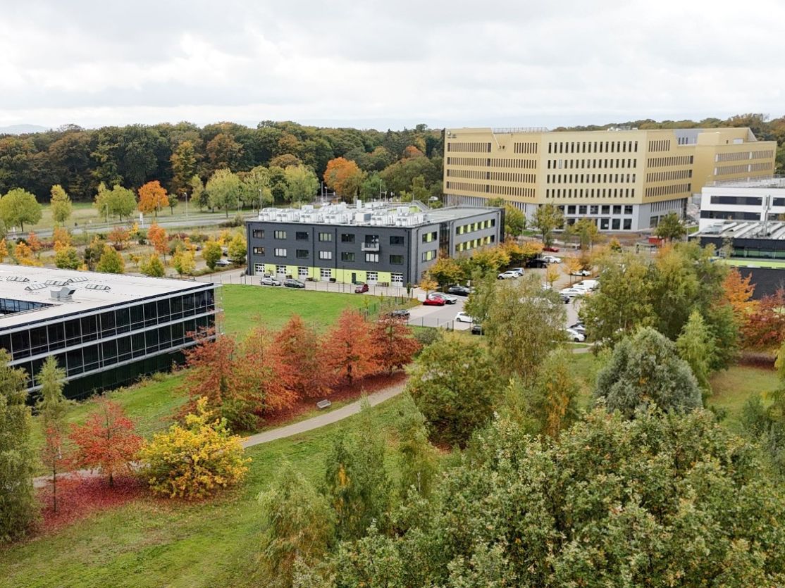 Luftaufnahme eines Campus mit mehreren modernen Gebäuden, umgeben von herbstlich gefärbten Bäumen und Grünflächen.