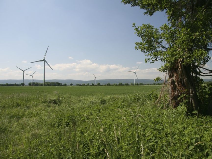 Wiese am Kronsberg mit Blick auf Windrädern in der Ferne.