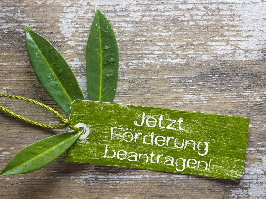 Grüne Blätter und ein grünes Schild mit dem Hinweis: Jetzt Förderung beantragen!
