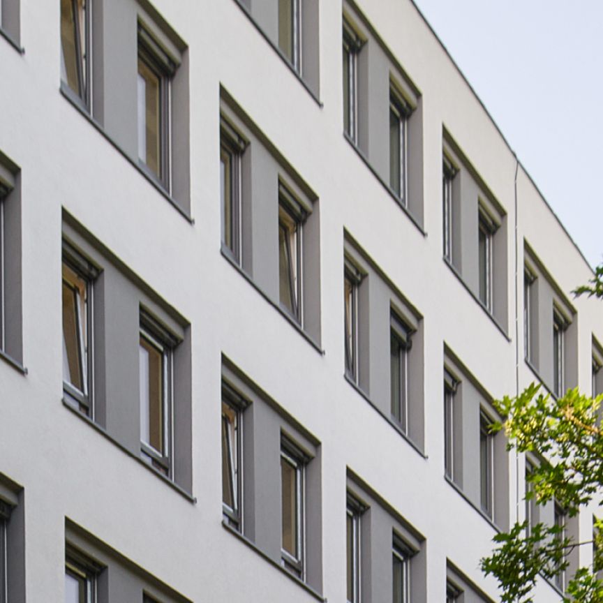 Weißes Bürohaus mit vielen Fenstern und ein Baum