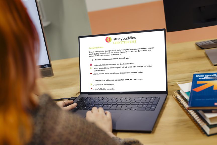 Person von hinten an Laptop mit "studybuddies Lerntypentest"-Website; Bücher und Monitor im Hintergrund.