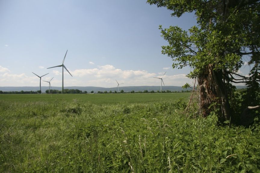 Wiese am Kronsberg mit Blick auf Windrädern in der Ferne.