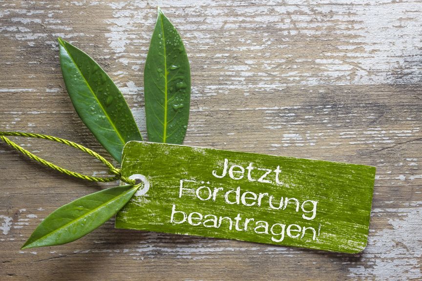 Grünes Holzschild mit Text „Jetzt Förderung beantragen!" liegt auf verwittertem Holz, daneben grüne Blätter mit Wassertropfen.