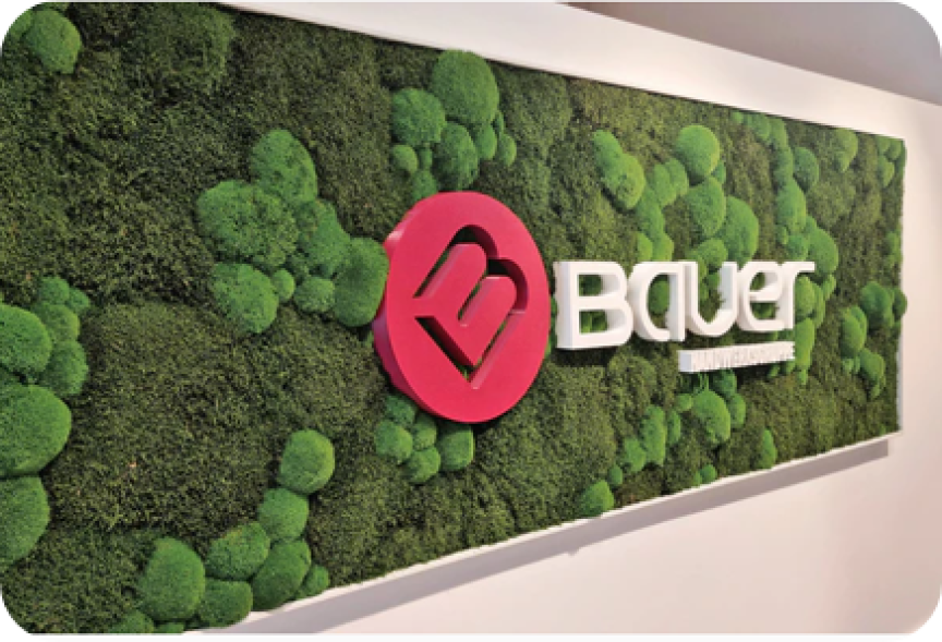 Grüne Mooswand mit weißem „Bauer"-Schriftzug und rotem Logo-Symbol in einer Bürolobby.
